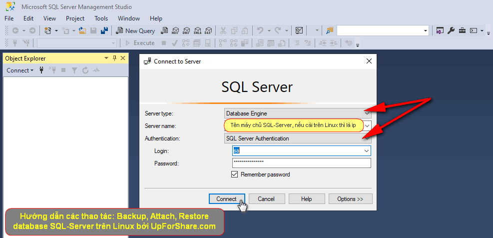 Cách attach, restore database vào SQL Server trên linux 2020